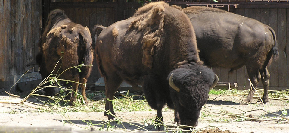 平台在线ddos压力测试
