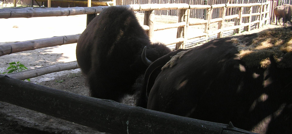平台在线ddos压力测试