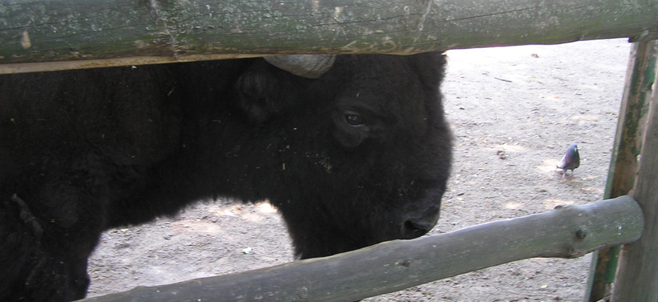 平台在线ddos压力测试